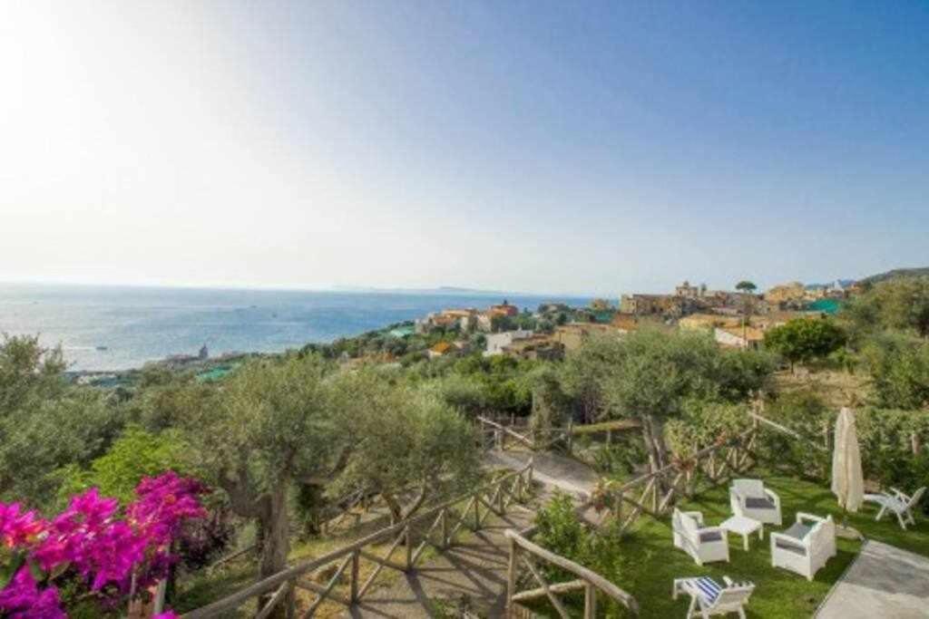 Villa Il Sogno Di Zia Ada Massa Lubrense Exterior photo