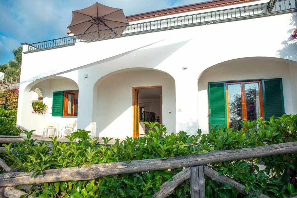 Villa Il Sogno Di Zia Ada Massa Lubrense Exterior photo